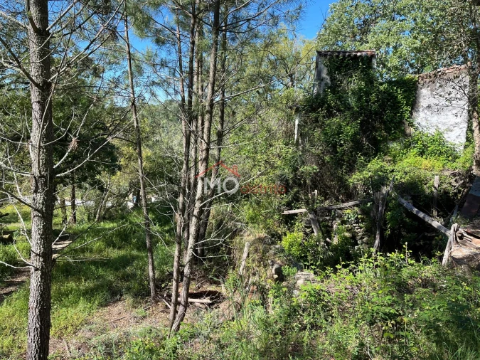 Quinta T3 para Venda em Reguengo e São Julião Foto 15
