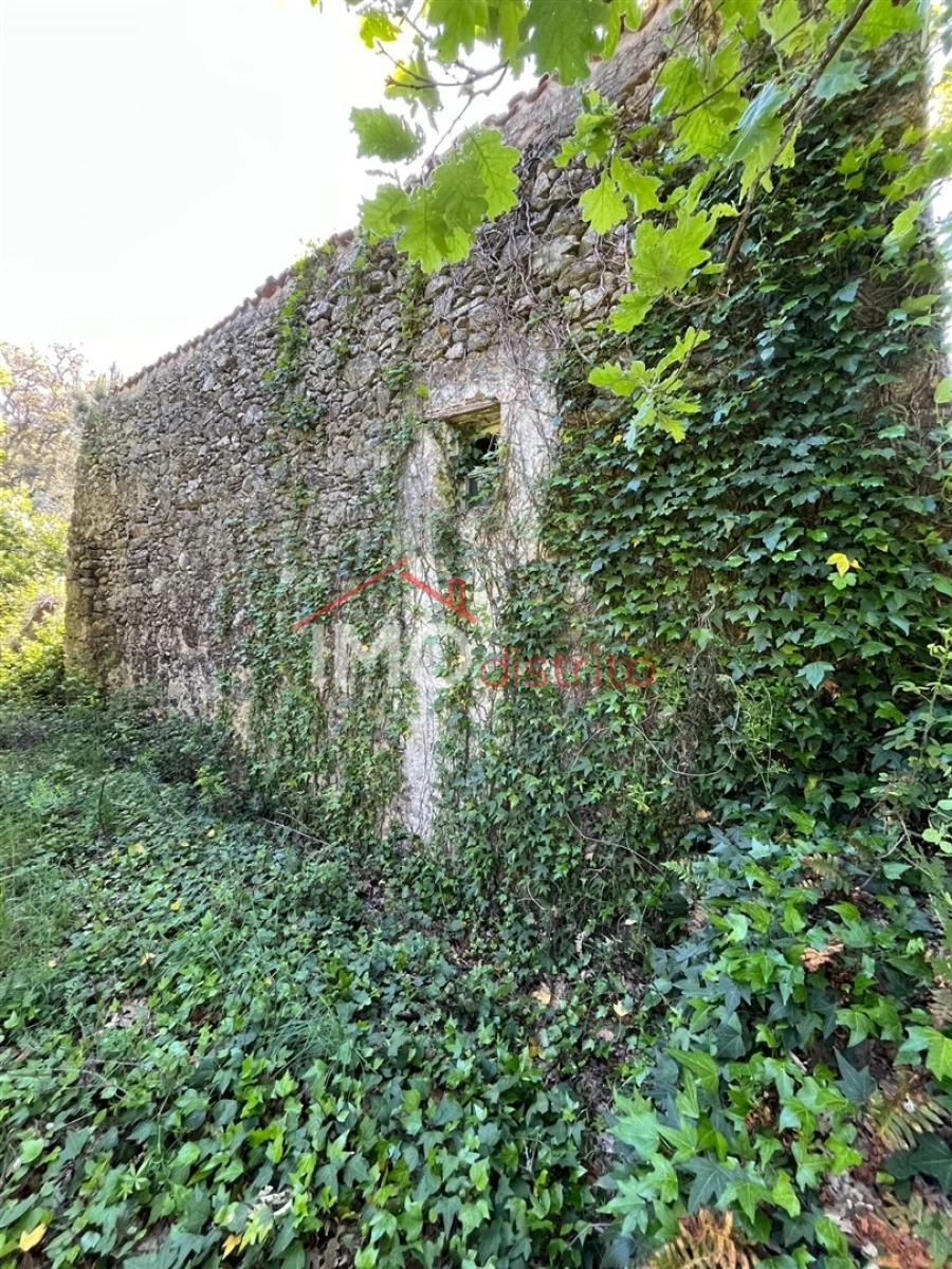 Quinta T3 para Venda em Reguengo e São Julião Foto 11
