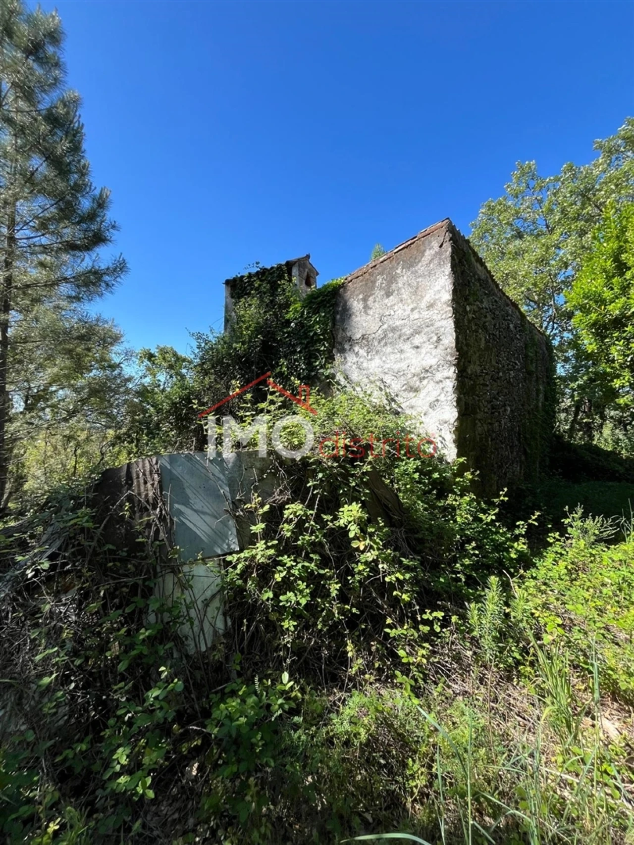 Quinta T3 para Venda em Reguengo e São Julião Foto 13