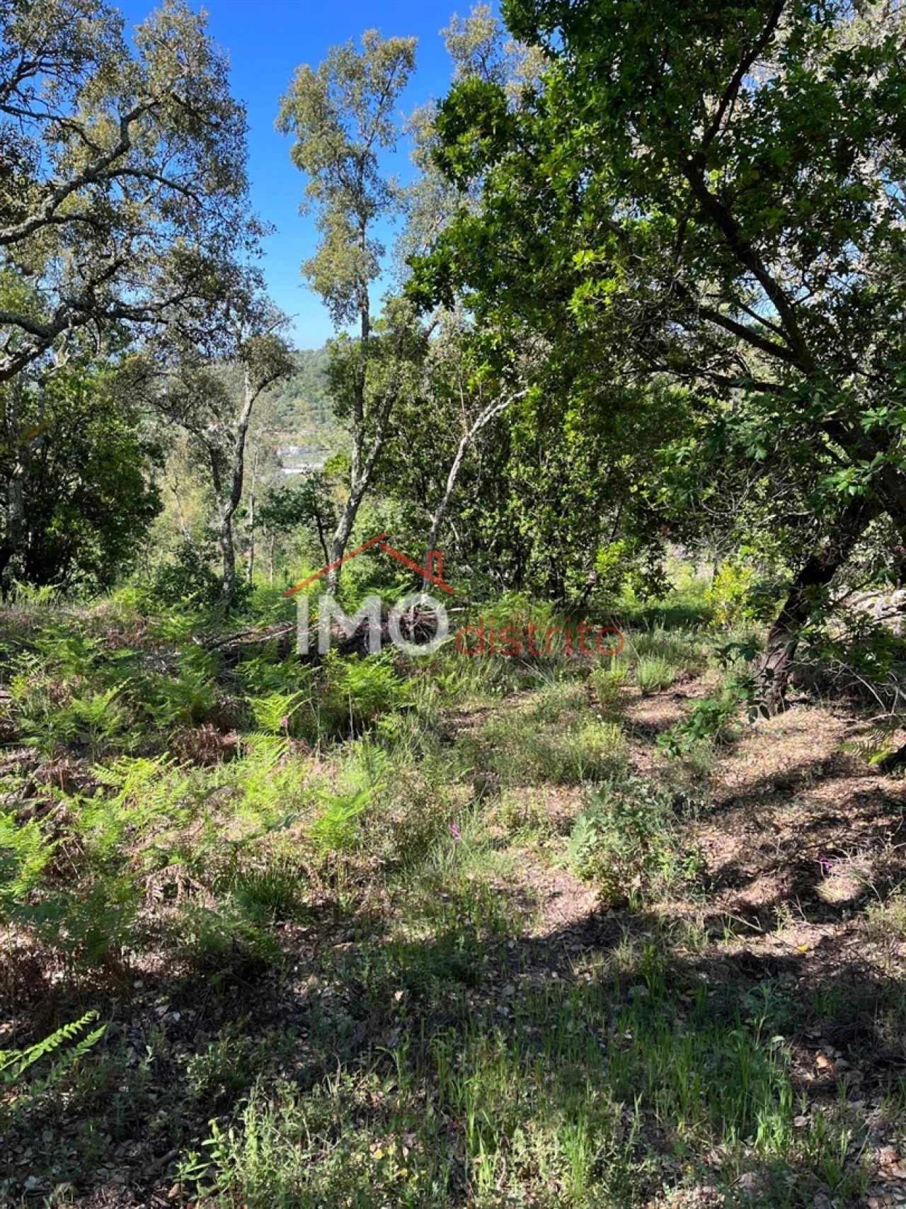 Quinta T3 para Venda em Reguengo e São Julião Foto 10