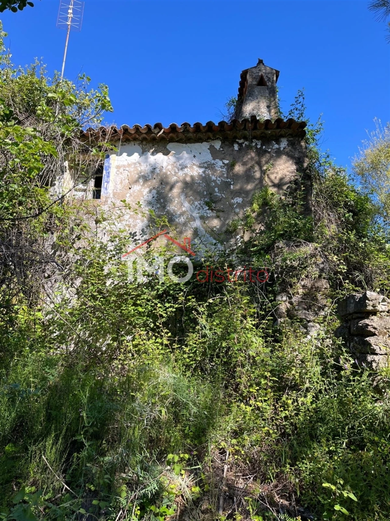 Quinta T3 para Venda em Reguengo e São Julião Foto 3