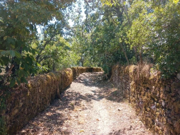 Quinta T3 para Venda em Sé e São Lourenço