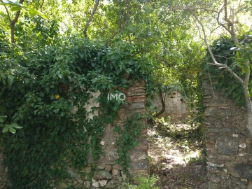 Quinta T3 para Venda em Sé e São Lourenço