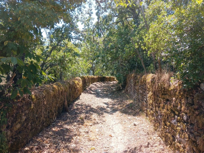 Quinta T3 para Venda em Sé e São Lourenço Foto 15