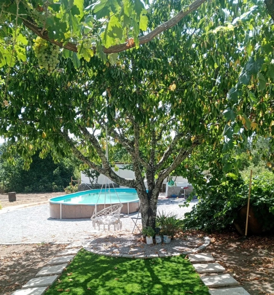 Quinta T3 para Venda em Sé e São Lourenço Foto 3