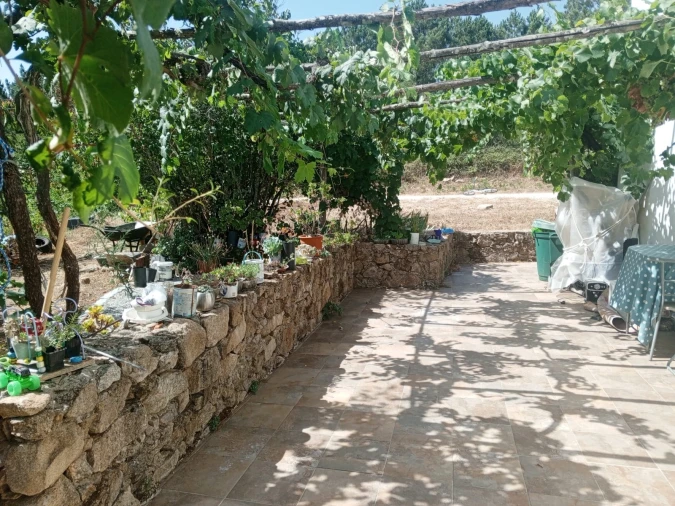 Quinta T3 para Venda em Sé e São Lourenço Foto 5
