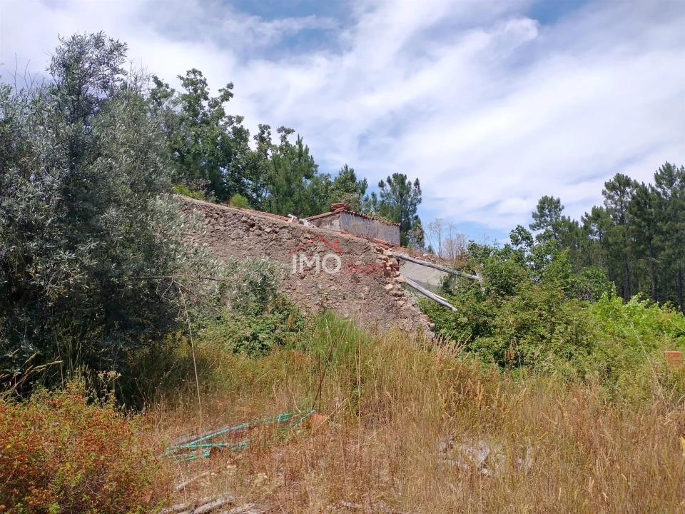 Quinta T3 para Venda em Sé e São Lourenço Foto 16