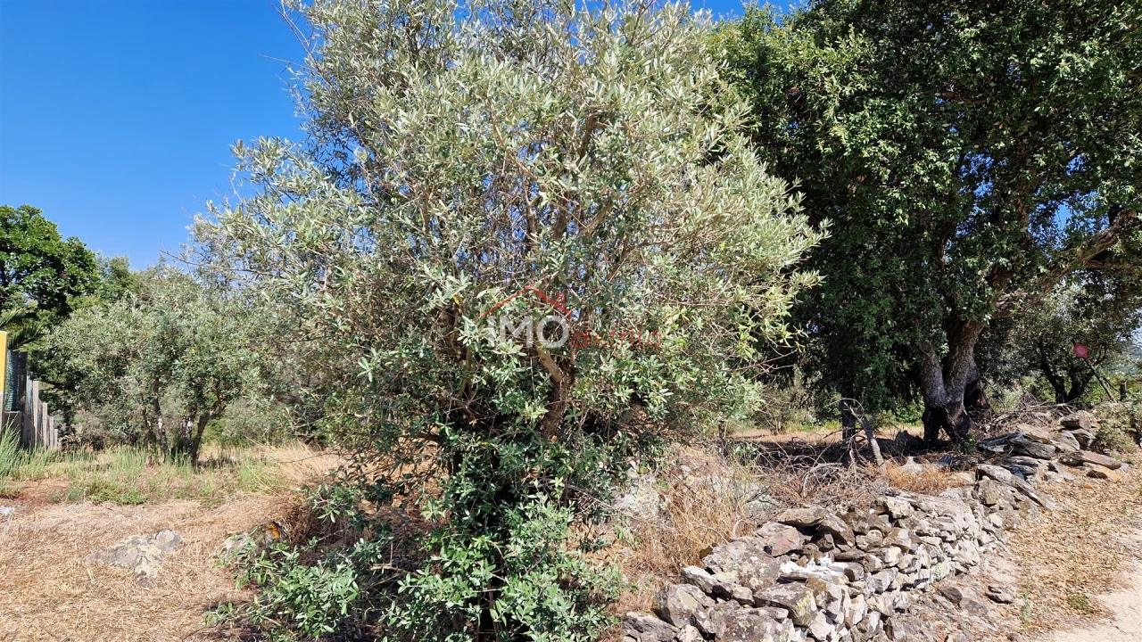 Terreno para Venda em Santa Maria da Devesa Foto 3
