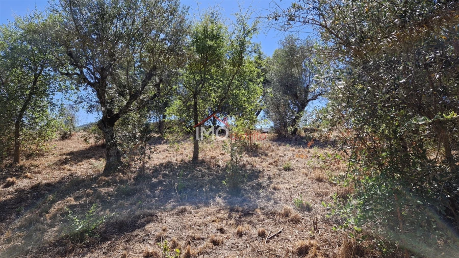 Terreno para Venda em Santa Maria da Devesa Foto 6
