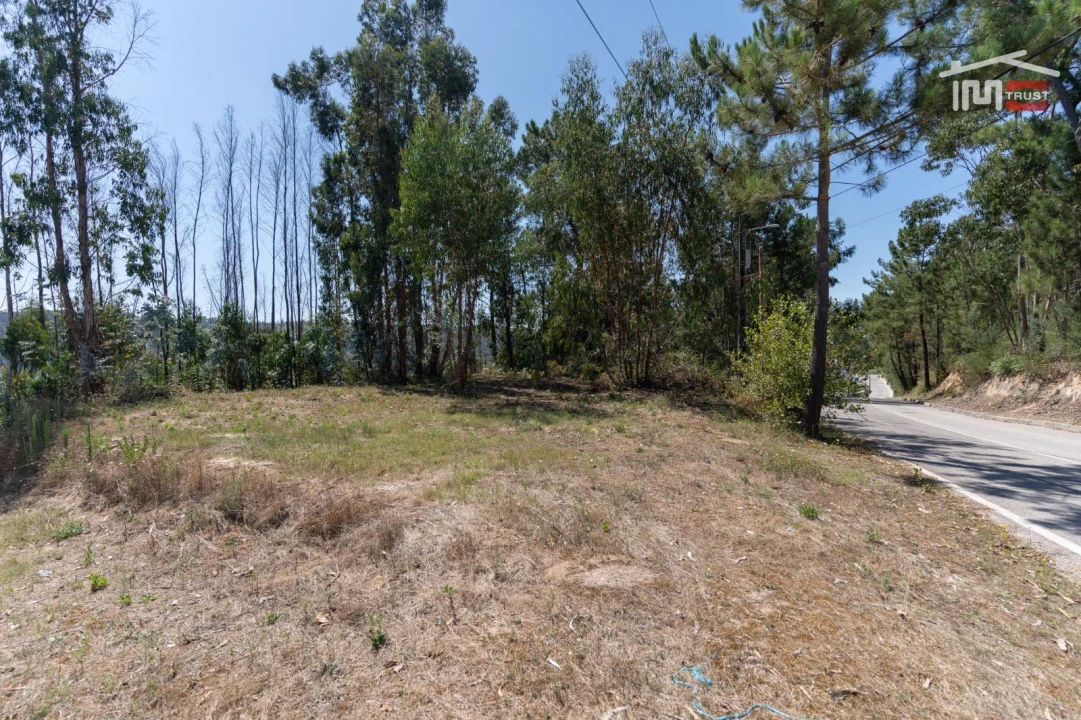 Terreno P/ Prédio para Venda em Caxarias Foto 1