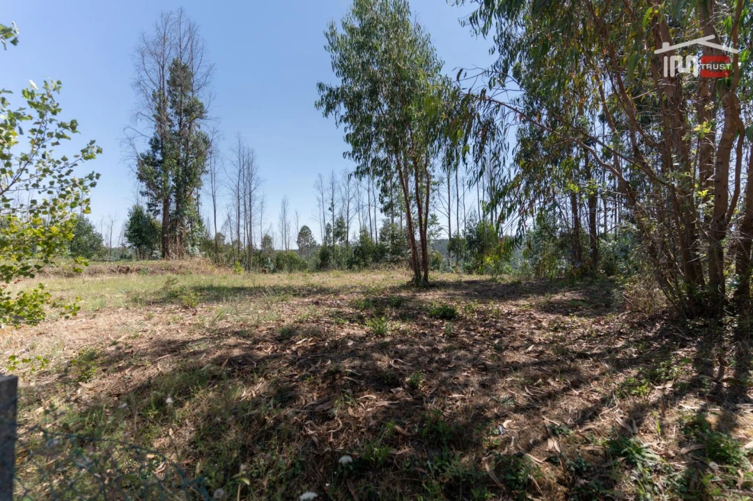 Terreno P/ Prédio para Venda em Caxarias Foto 3