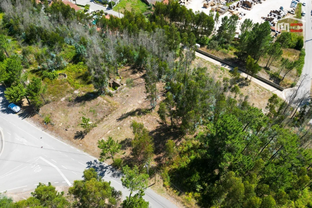 Terreno P/ Prédio para Venda em Caxarias Foto 7