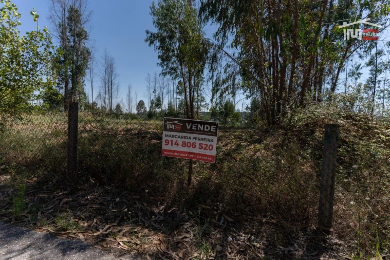 Terreno P/ Prédio para Venda em Caxarias Foto 4