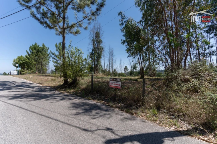 Terreno P/ Prédio para Venda em Caxarias Foto 2
