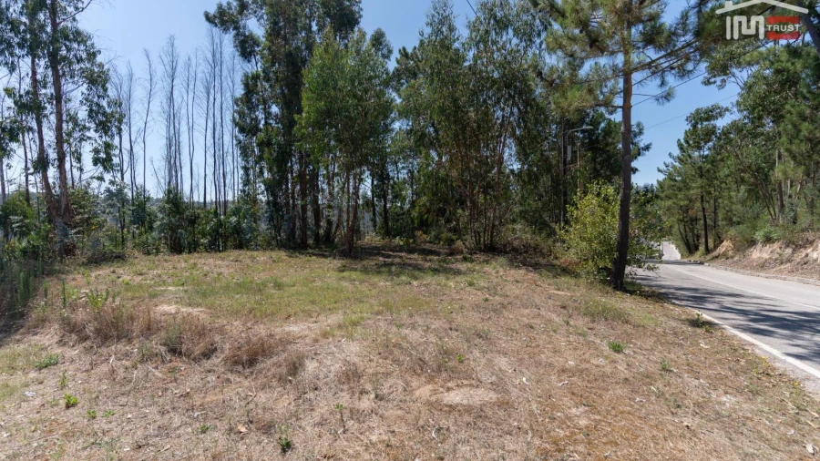 Terreno P/ Prédio para Venda em Caxarias