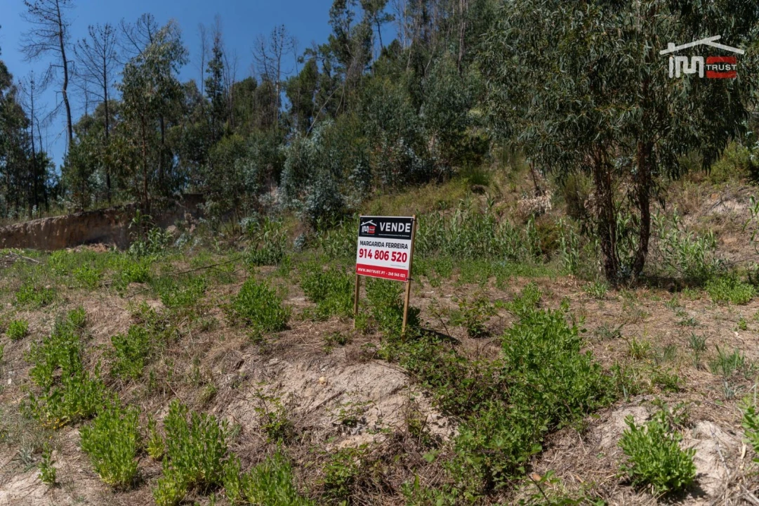 Terreno P/ Prédio para Venda em Caxarias Foto 2
