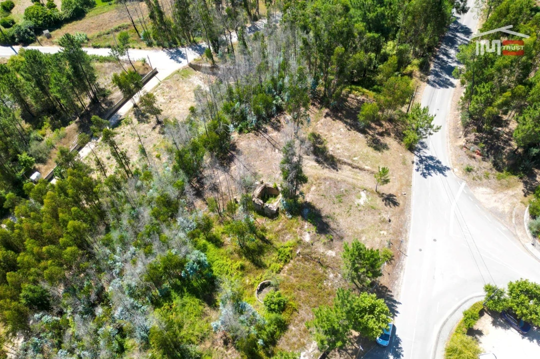 Terreno P/ Prédio para Venda em Caxarias Foto 8