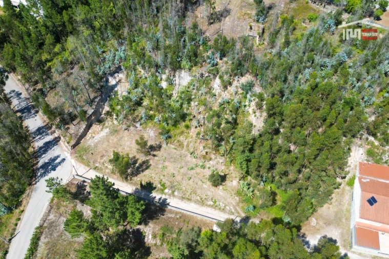 Terreno P/ Prédio para Venda em Caxarias Foto 7