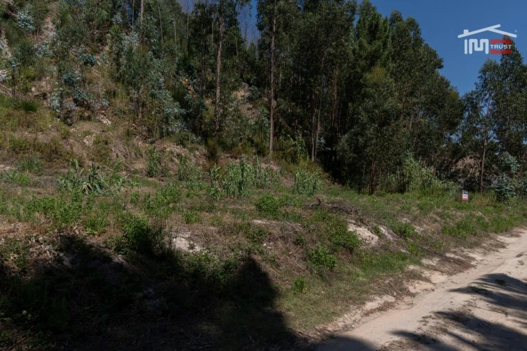 Terreno P/ Prédio para Venda em Caxarias Foto 10