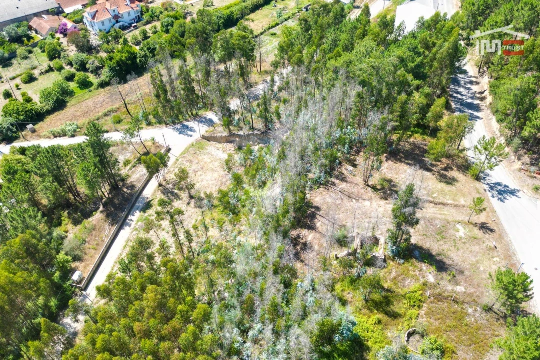 Terreno P/ Prédio para Venda em Caxarias Foto 11