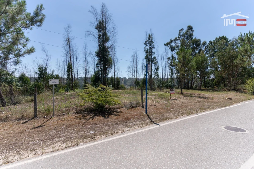 Terreno P/ Prédio para Venda em Caxarias Foto 12