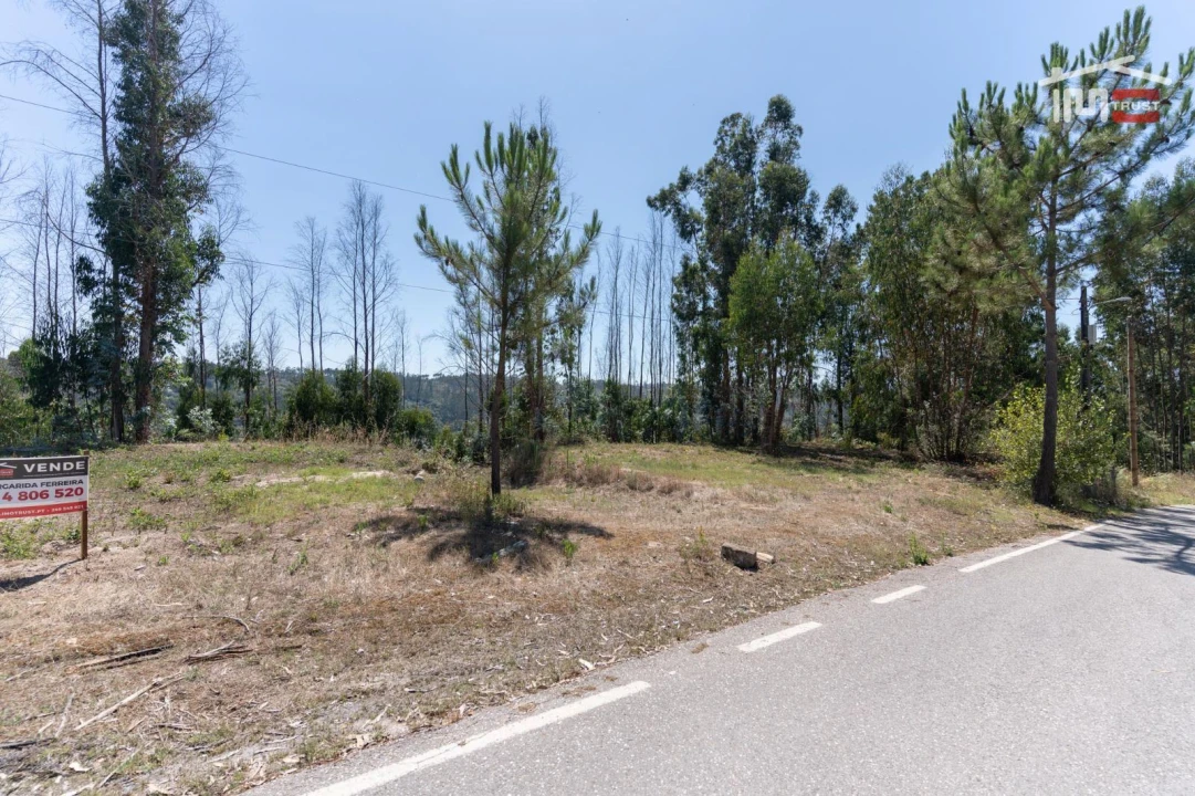 Terreno P/ Prédio para Venda em Caxarias Foto 14