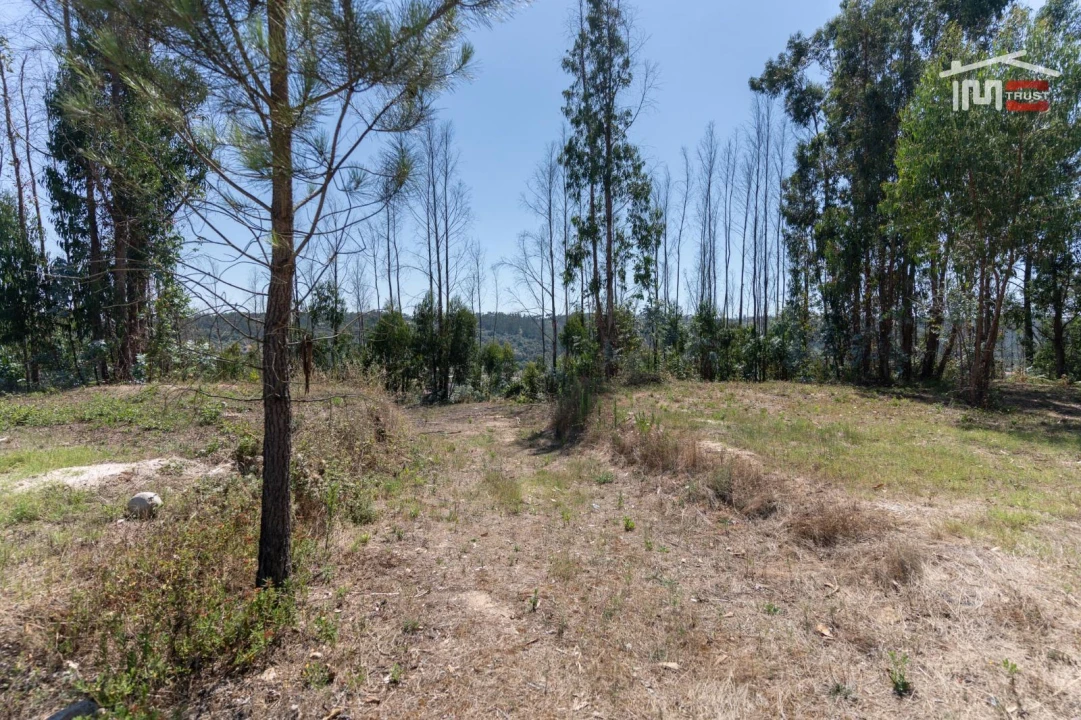 Terreno P/ Prédio para Venda em Caxarias Foto 15