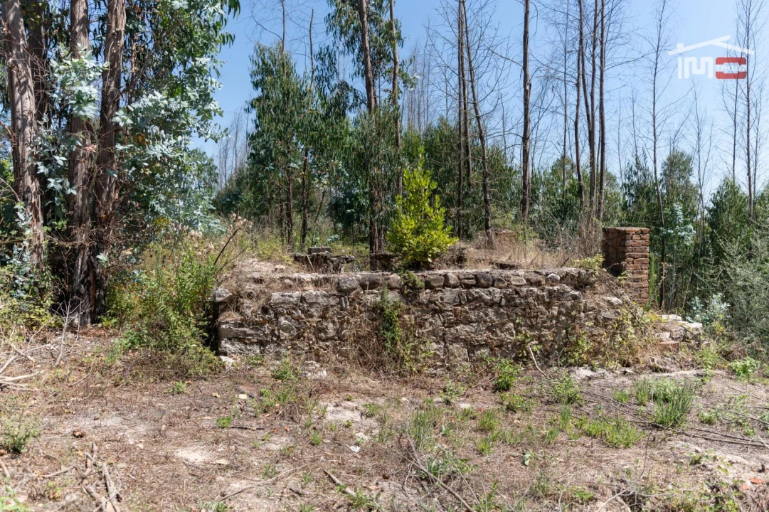 Terreno P/ Prédio para Venda em Caxarias Foto 2