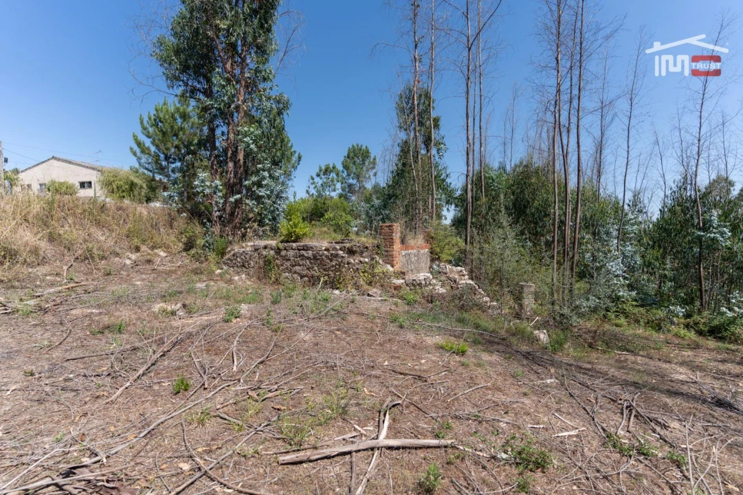 Terreno P/ Prédio para Venda em Caxarias Foto 16