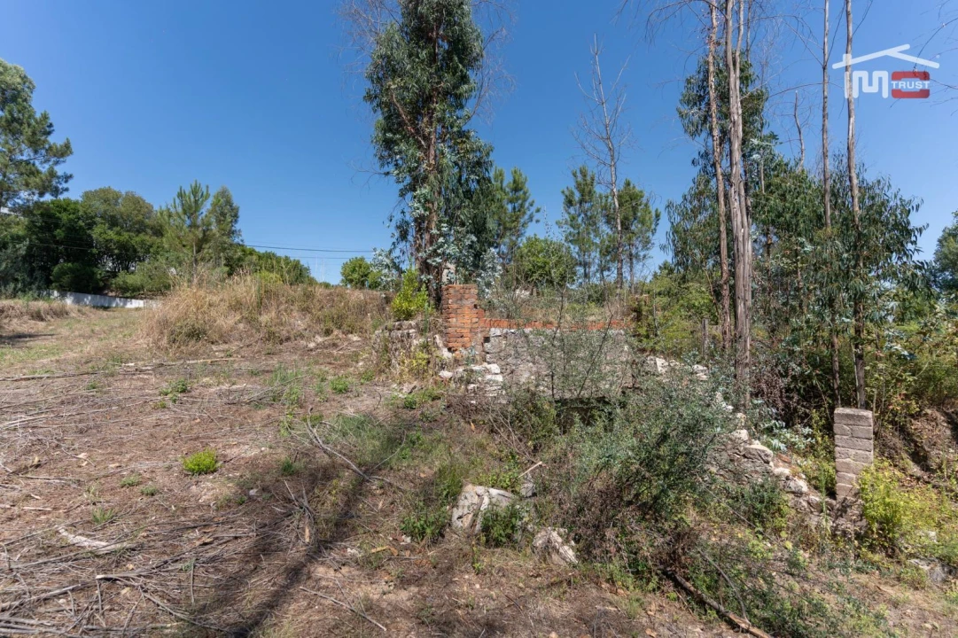 Terreno P/ Prédio para Venda em Caxarias Foto 19