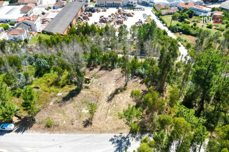 Terreno P/ Prédio para Venda em Caxarias Foto 6