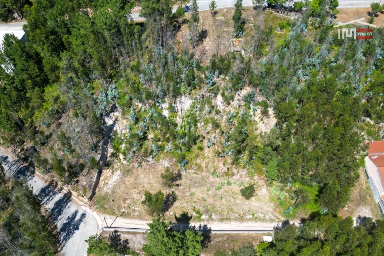 Terreno P/ Prédio para Venda em Caxarias Foto 10