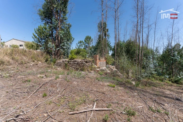 Terreno P/ Prédio para Venda em Caxarias Foto 16