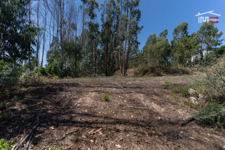 Terreno P/ Prédio para Venda em Caxarias Foto 18