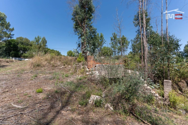 Terreno P/ Prédio para Venda em Caxarias Foto 19