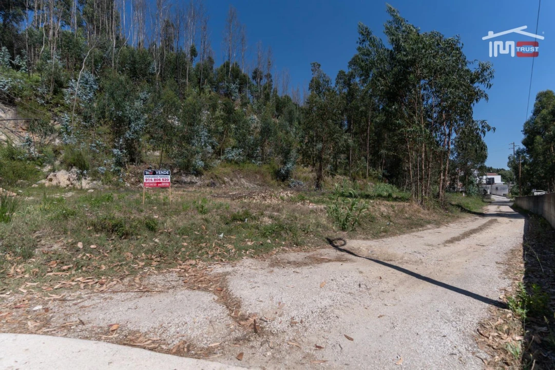 Terreno P/ Prédio para Venda em Caxarias Foto 1