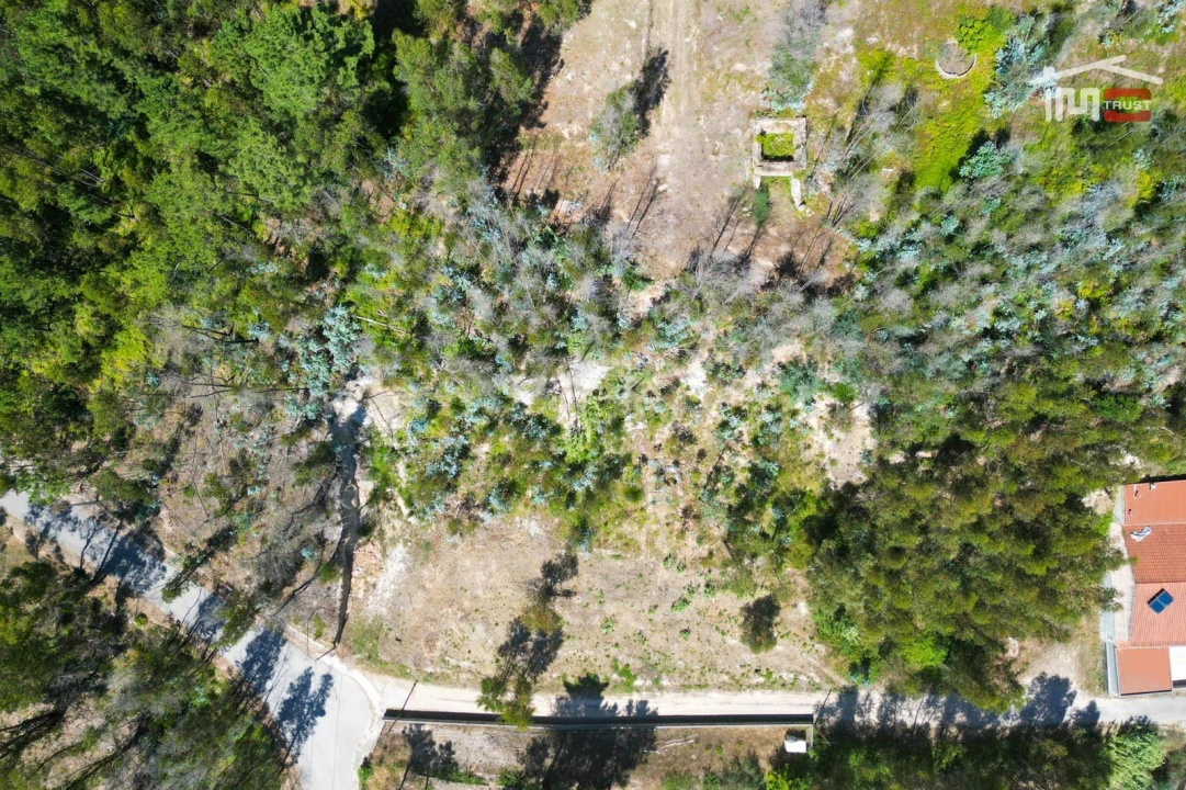 Terreno P/ Prédio para Venda em Caxarias Foto 4