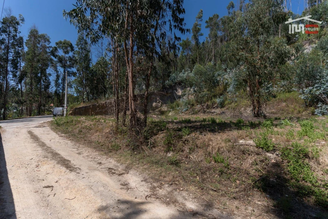Terreno P/ Prédio para Venda em Caxarias Foto 3