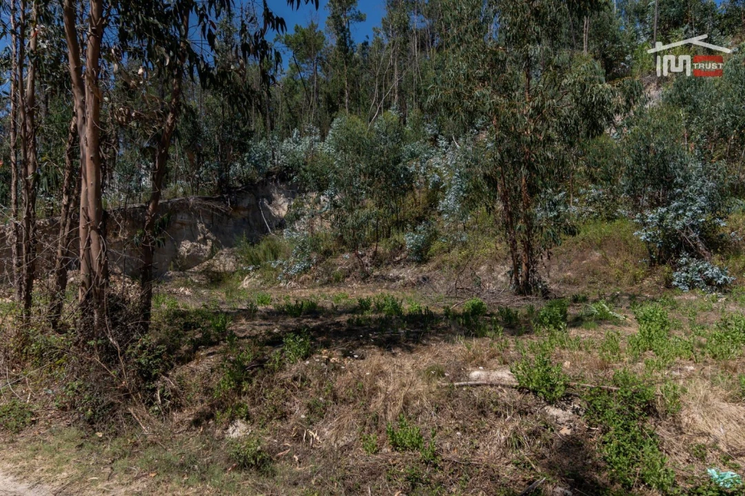Terreno P/ Prédio para Venda em Caxarias Foto 10