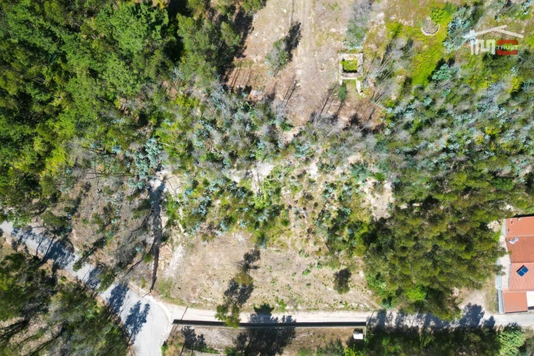 Terreno P/ Prédio para Venda em Caxarias Foto 4