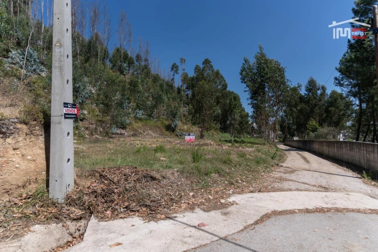 Terreno P/ Prédio para Venda em Caxarias Foto 2