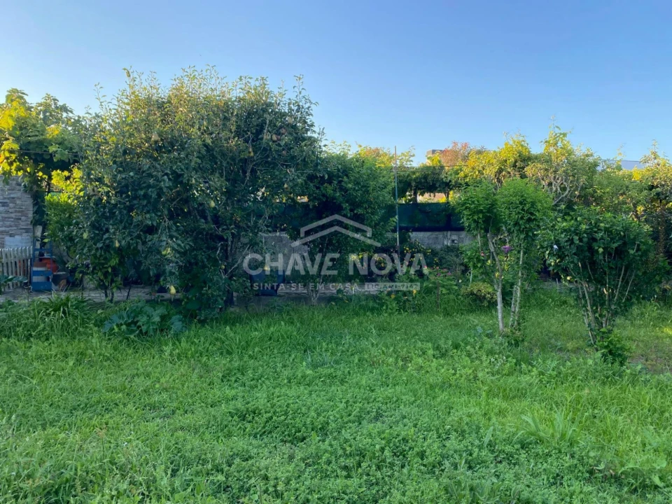 Terreno Agricola ou Rústico para Venda em Madalena Foto 5