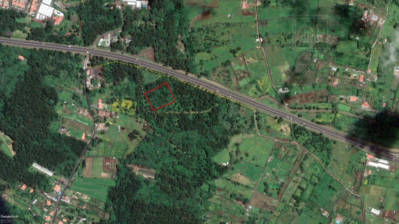 Terreno Agricola ou Rústico para Venda em Lagoa (Nossa Senhora do Rosario) Foto 2