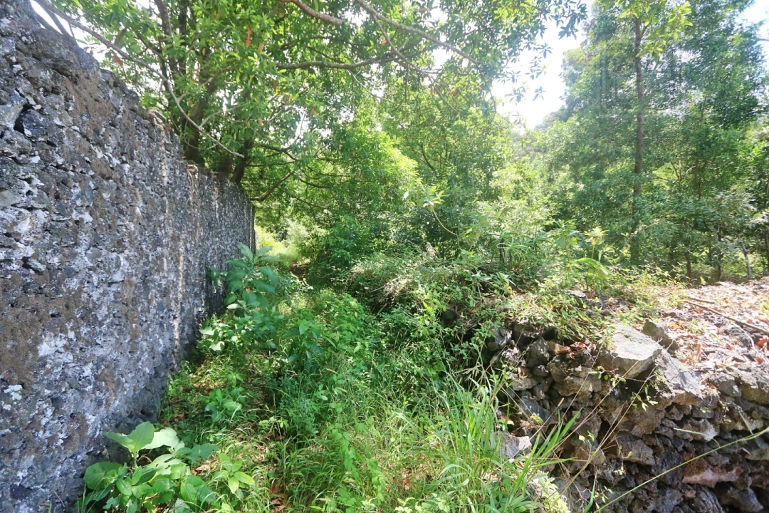 Terreno Agricola ou Rústico para Venda em Lagoa (Nossa Senhora do Rosario) Foto 28