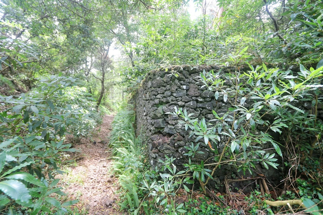 Terreno Agricola ou Rústico para Venda em Lagoa (Nossa Senhora do Rosario) Foto 30