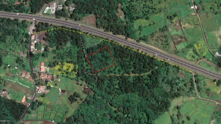 Terreno Agricola ou Rústico para Venda em Lagoa (Nossa Senhora do Rosario) Foto 1