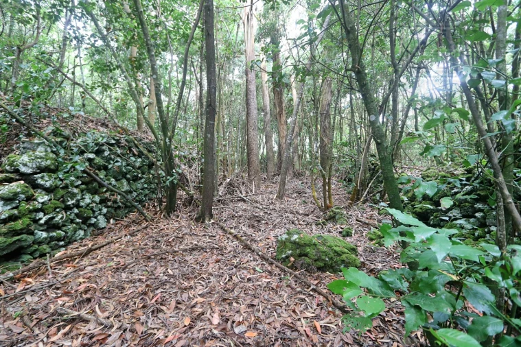 Terreno Agricola ou Rústico para Venda em Lagoa (Nossa Senhora do Rosario) Foto 17