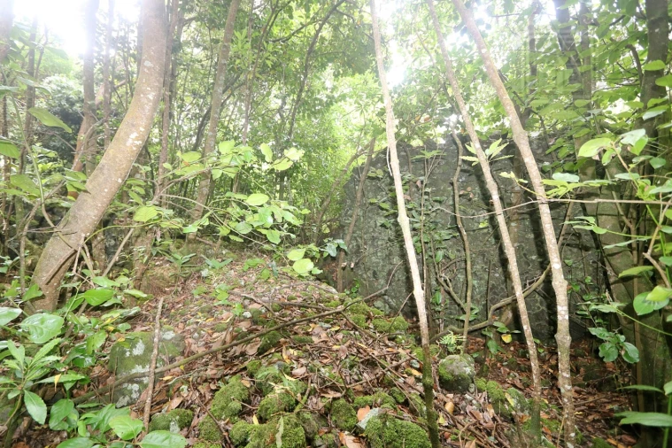 Terreno Agricola ou Rústico para Venda em Lagoa (Nossa Senhora do Rosario) Foto 19