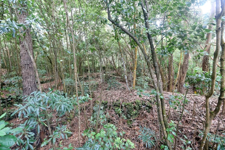 Terreno Agricola ou Rústico para Venda em Lagoa (Nossa Senhora do Rosario) Foto 25