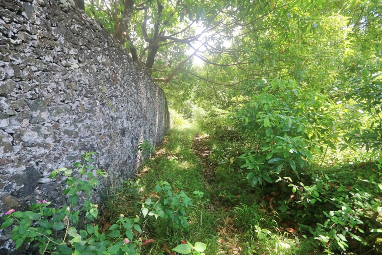 Terreno Agricola ou Rústico para Venda em Lagoa (Nossa Senhora do Rosario) Foto 27